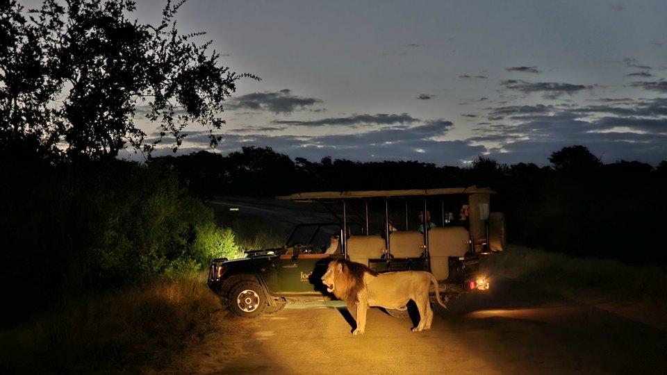 <h2>The Best of South Africa Escorted 2023</h2> 14 Nights | 6 Rounds | March 11 - 25